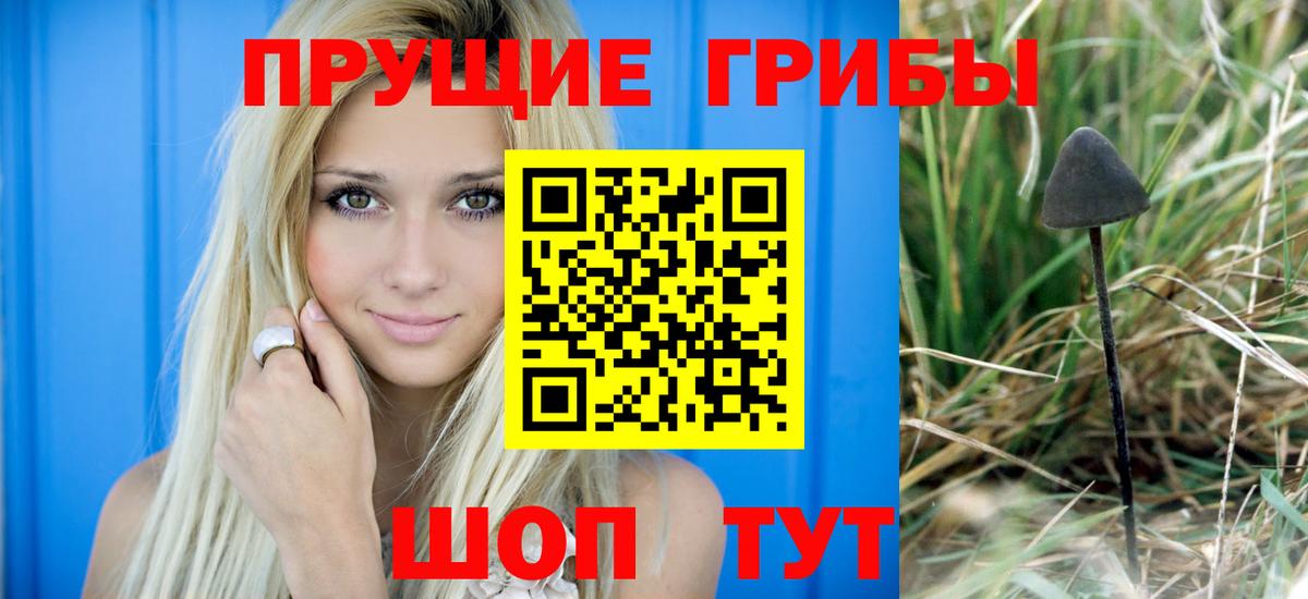 Шахты  Псилоцибиновые грибы Cubensis  Псилоцибиновые грибы Magic Shrooms  Вход с VPN 